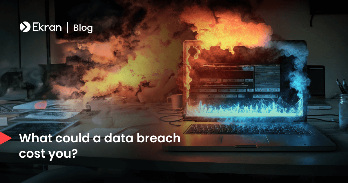 How to Calculate the Cost of a Data Breach for Your Company ー Syteca